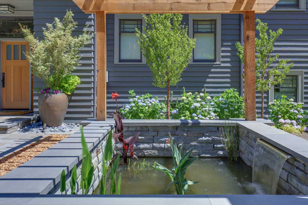 Modern garden with pond, waterfall, and lush greenery